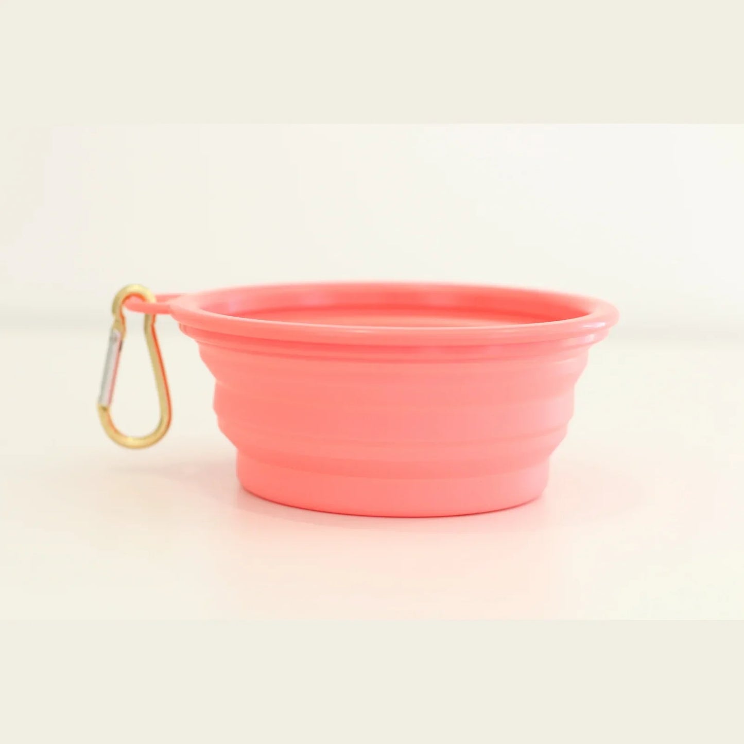 Collapsible Pet Bowl- Spoiled Rotten