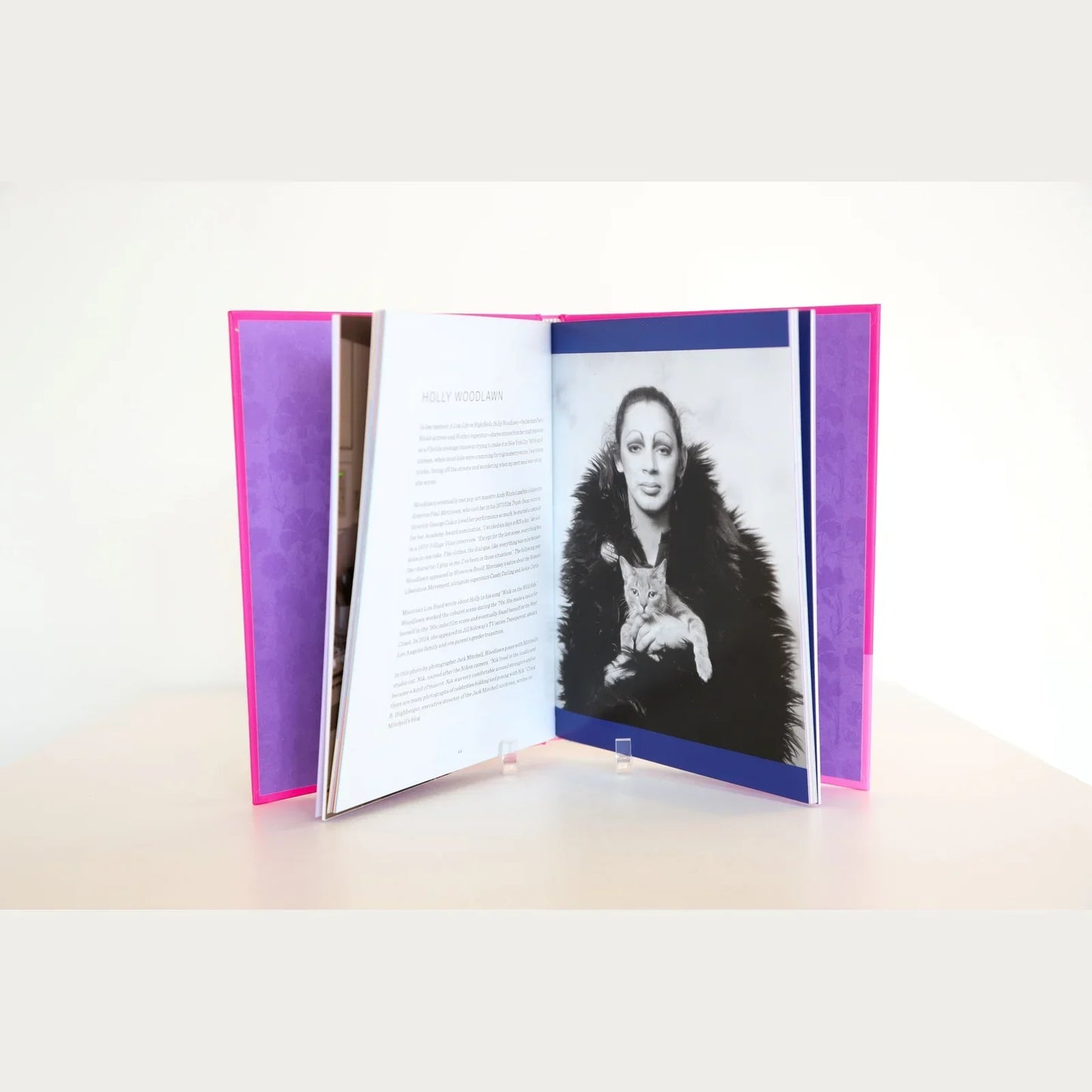 Queer Icons and Their Cats