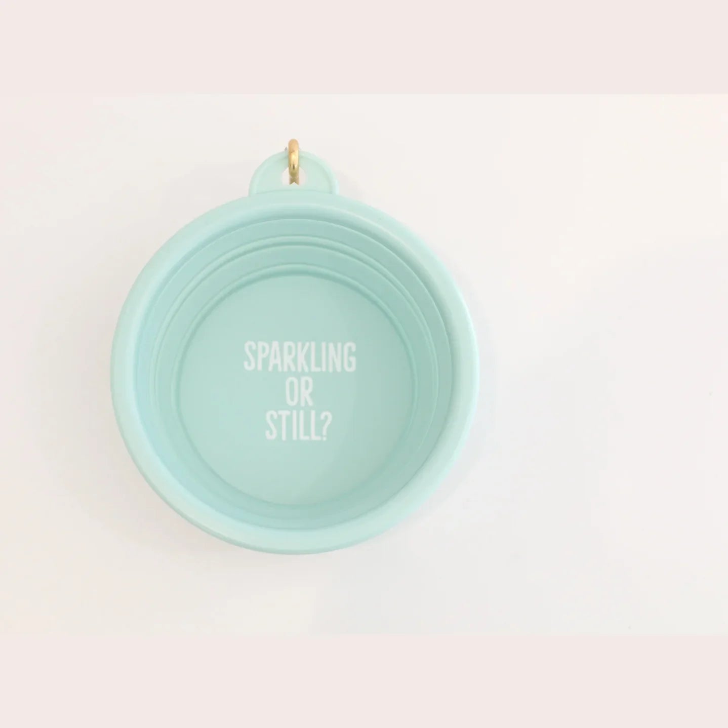 Collapsible Pet Bowl- Sparkling or Still?