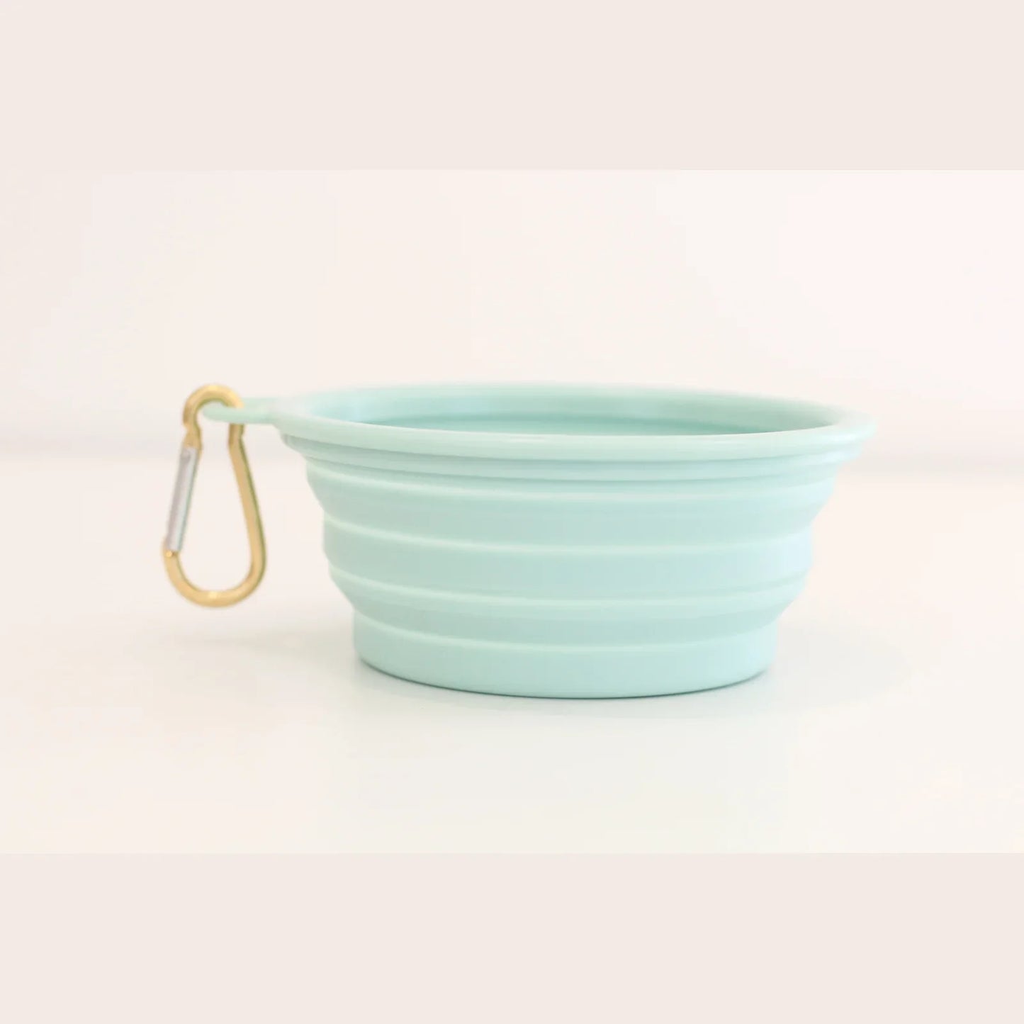 Collapsible Pet Bowl- Sparkling or Still?