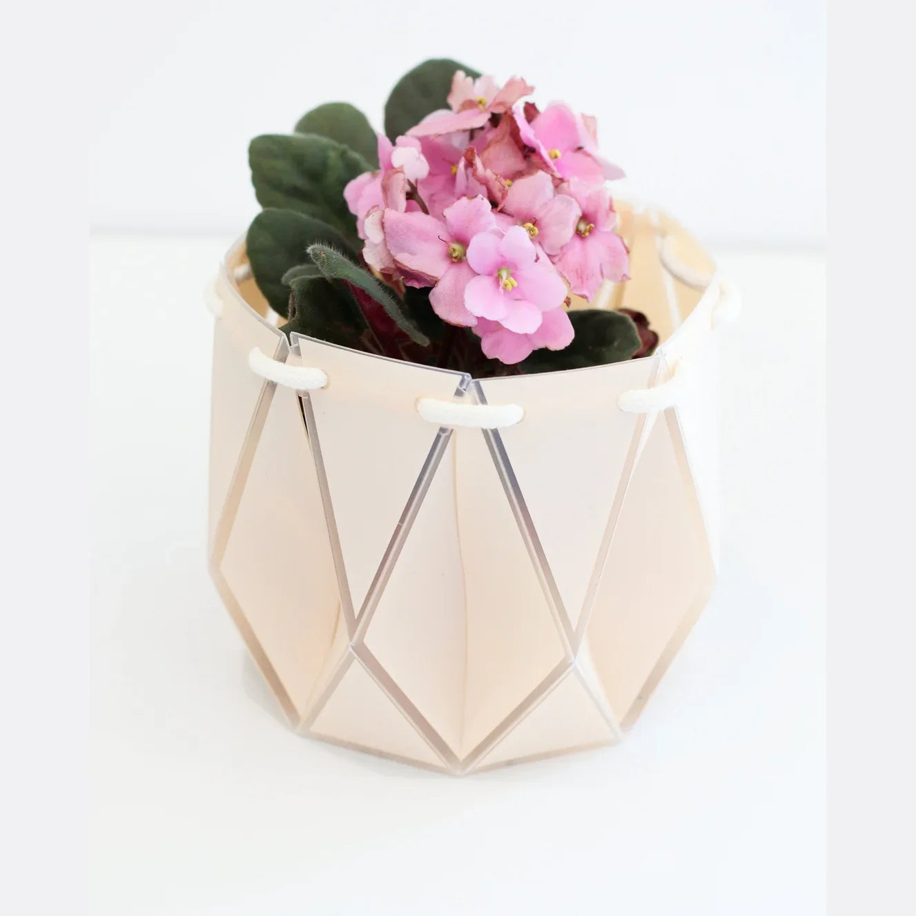 Small Self Watering Planter - Alcove