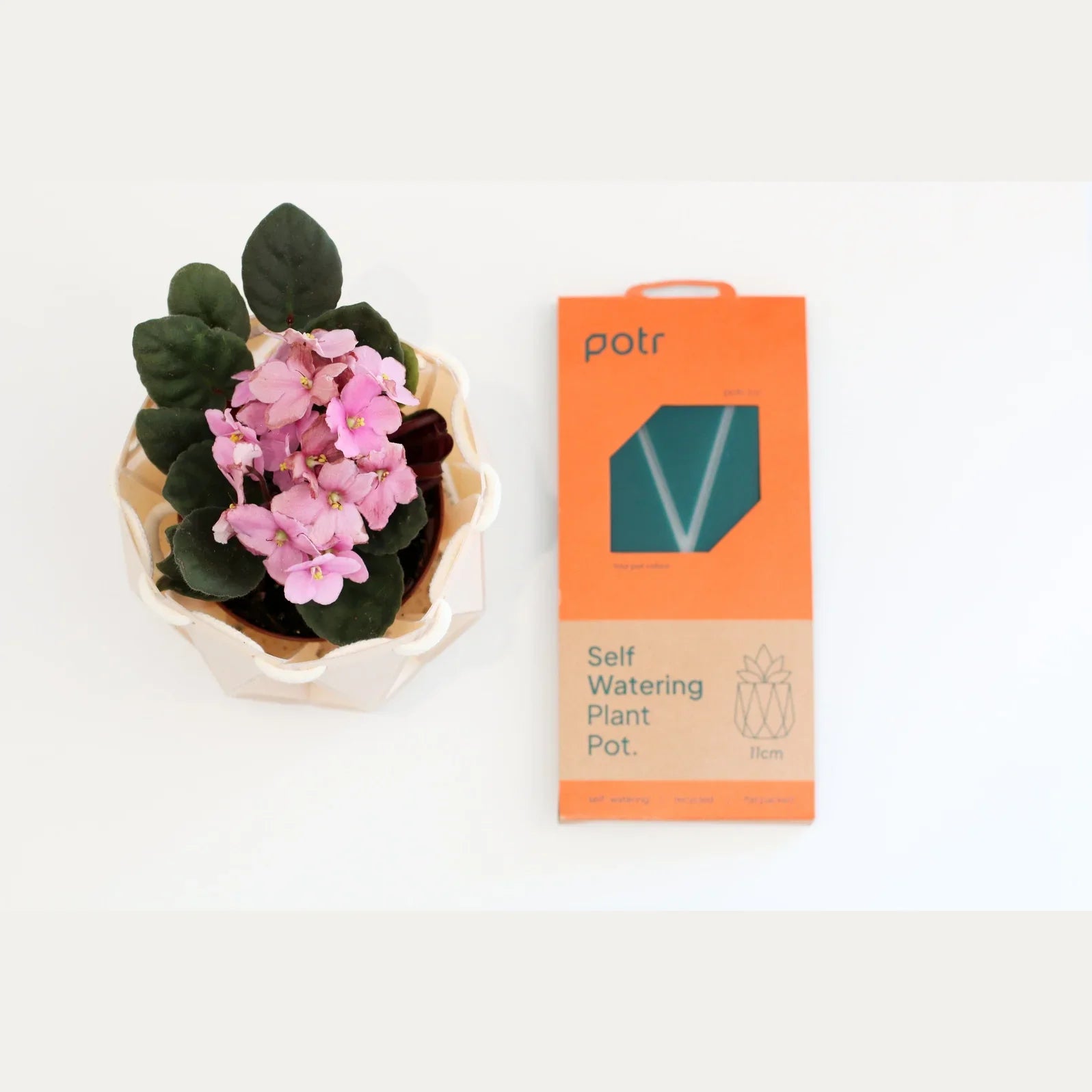 Small Self Watering Planter - Alcove