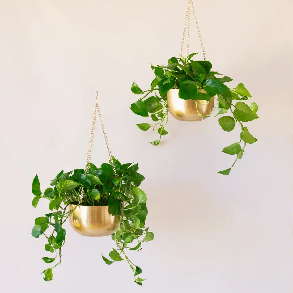 Cleo Gold Hanging Planter- Set of 2