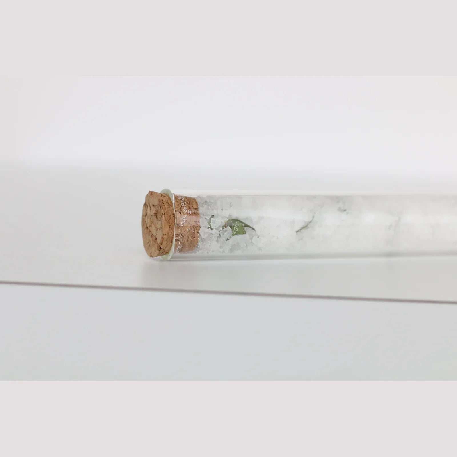 Sea Salt + Eucalyptus- Bath Soak Tube - Alcove