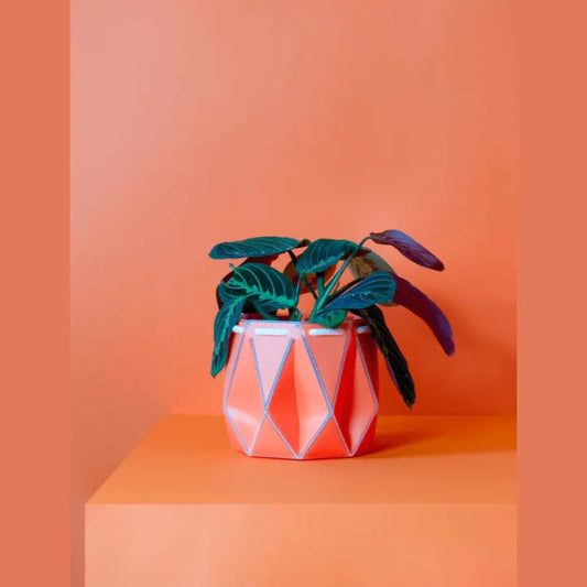 Medium Self Watering Planter - Alcove