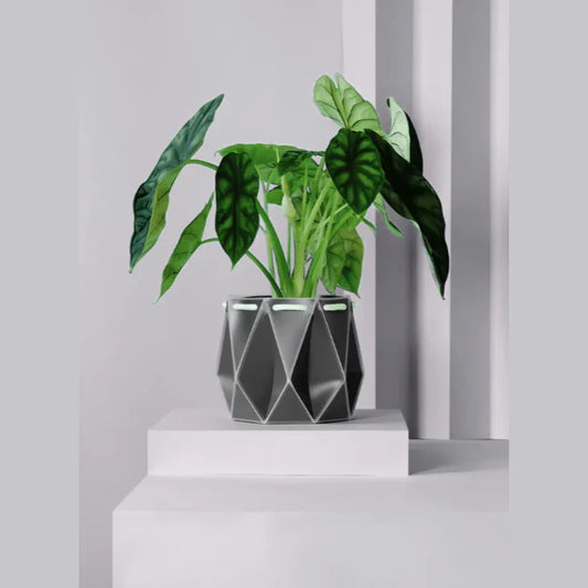 Large Self Watering Planter - Alcove