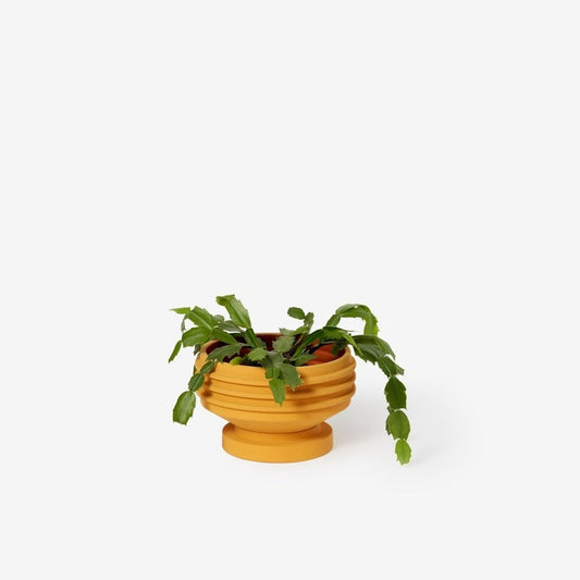 Strata Plant Vessel- Yellow