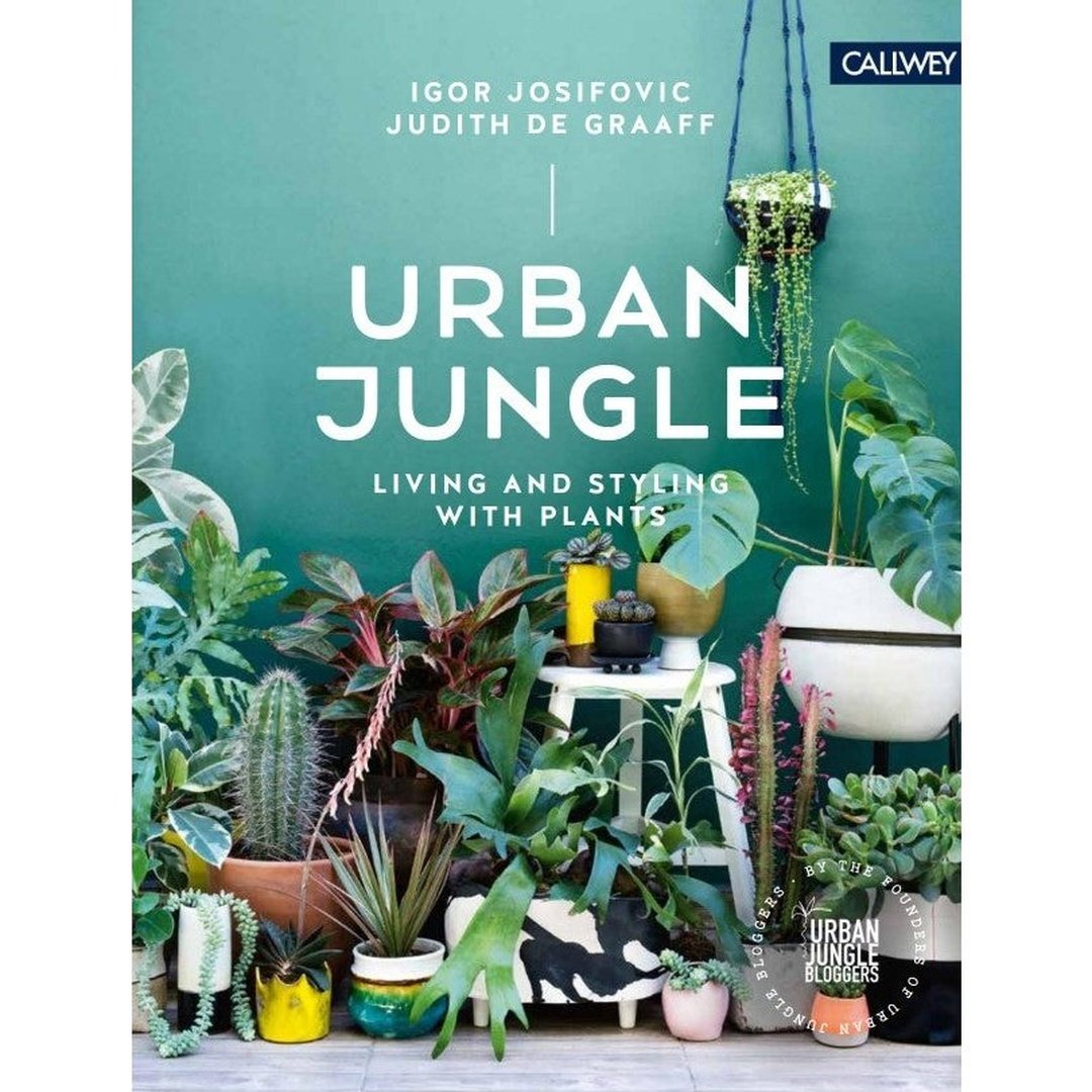 Urban Jungle